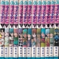 Wingman - Manga - Set Completo (13 volumes)